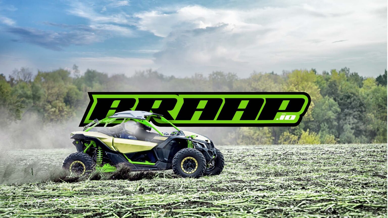 BRAAP-Logo-Presentation_Page_03_Image_0001