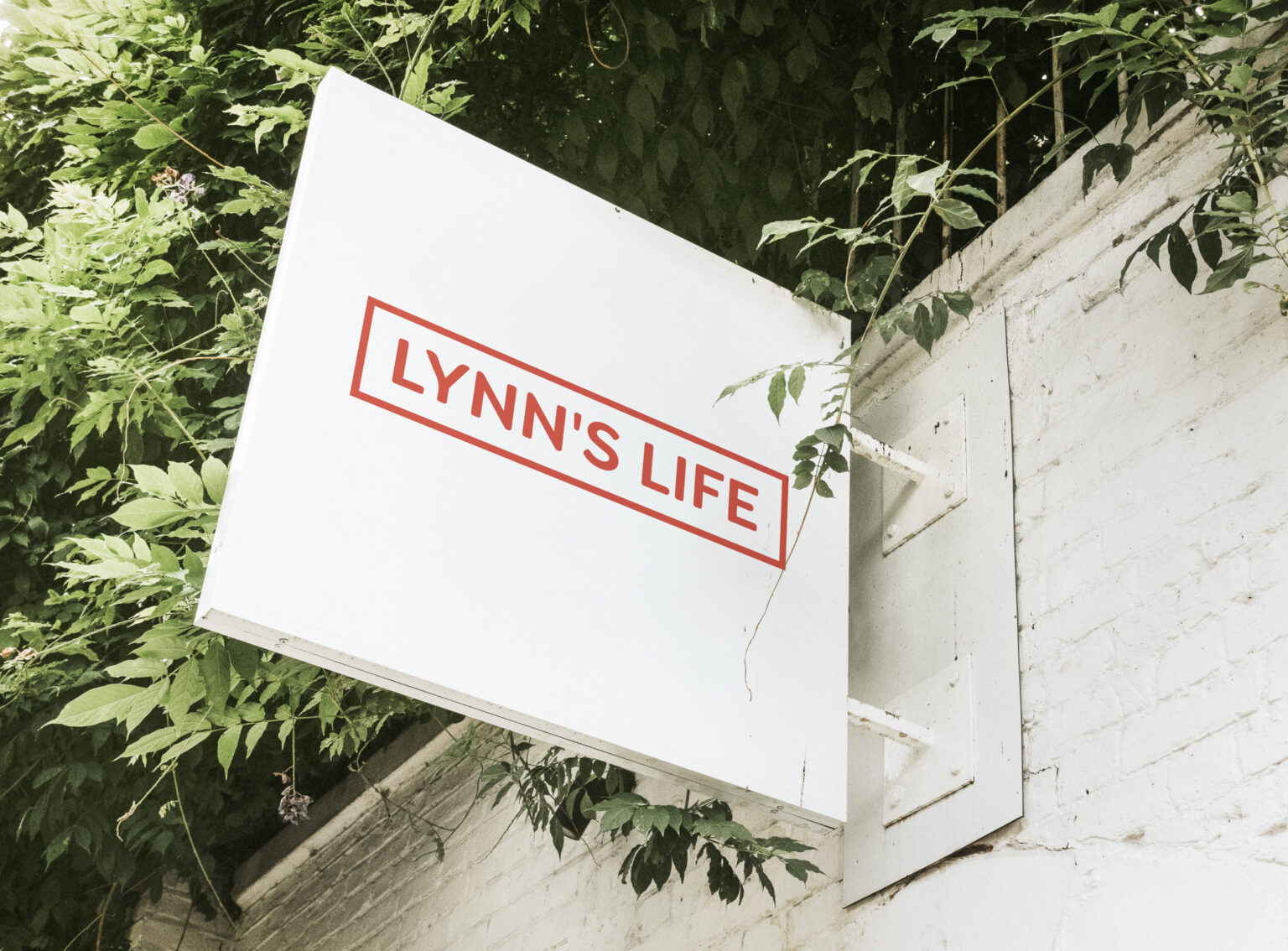 Storefront sign board